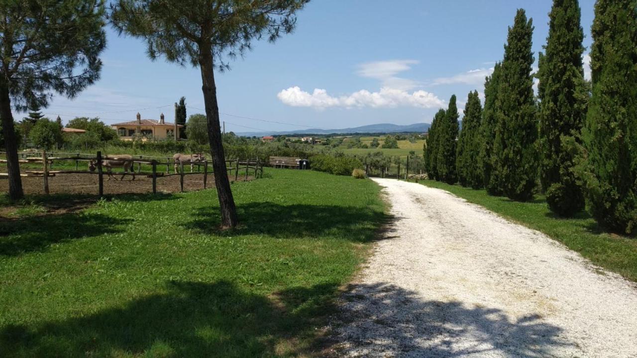 Agriturismo Casale San Benedetto Ceri Zewnętrze zdjęcie